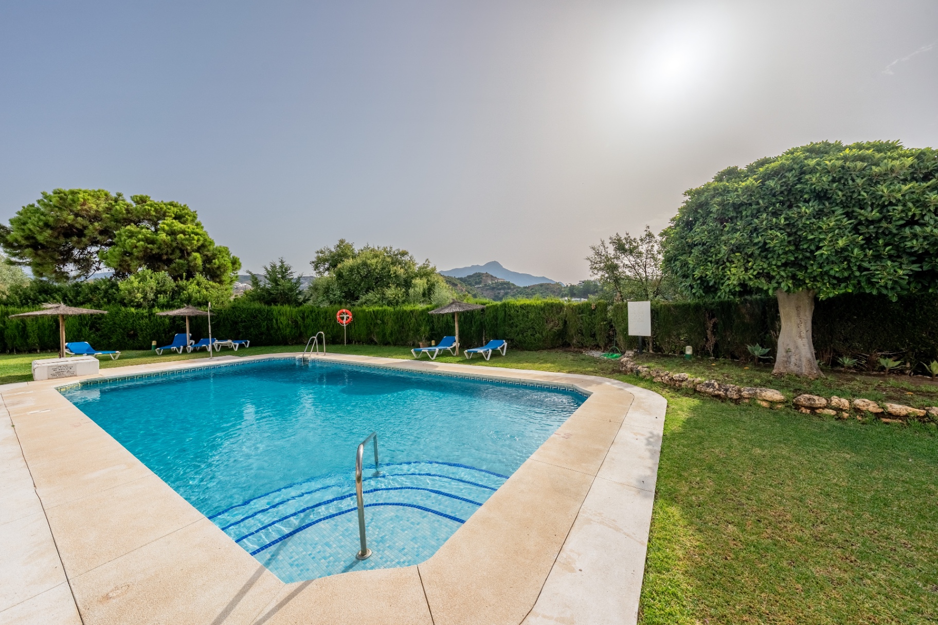 Garden and pool